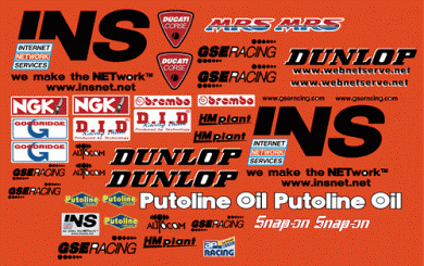 Ducati GSE Racing 2002 WSB Decal Kit